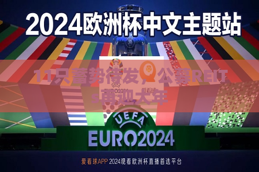11只蓄势待发，公募REITs再迎大年