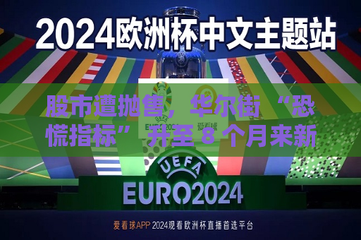 股市遭抛售，华尔街 “恐慌指标” 升至 8 个月来新高