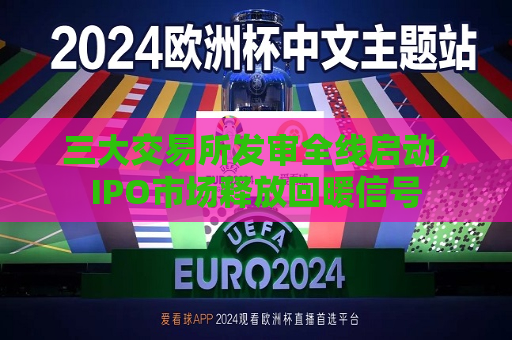 三大交易所发审全线启动，IPO市场释放回暖信号  第1张