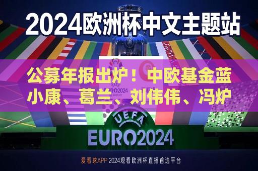 公募年报出炉！中欧基金蓝小康、葛兰、刘伟伟、冯炉丹最新观点一览