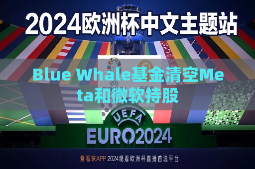 Blue Whale基金清空Meta和微软持股