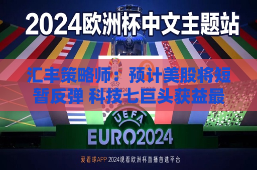 汇丰策略师：预计美股将短暂反弹 科技七巨头获益最多