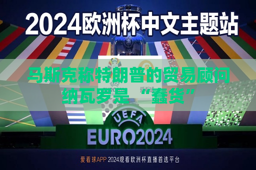 马斯克称特朗普的贸易顾问纳瓦罗是 “蠢货”