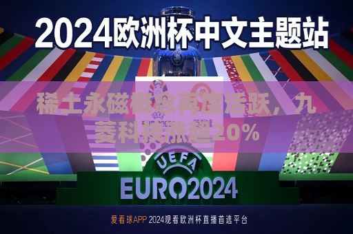 稀土永磁概念再度活跃，九菱科技涨超20%