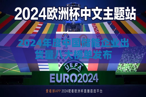 2024年度中国储能企业出货量八大榜单发布
