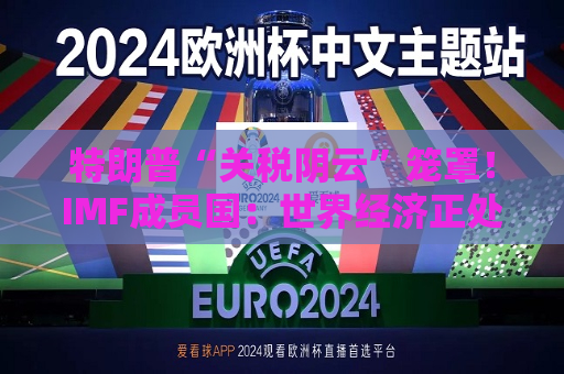 特朗普“关税阴云”笼罩！IMF成员国：世界经济正处于“关键时刻”  第1张