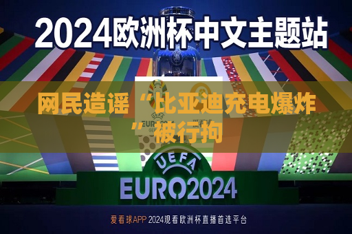 网民造谣“比亚迪充电爆炸”被行拘  第1张