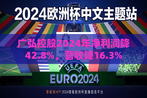 广弘控股2024年净利润降42.8%，营收降16.3%