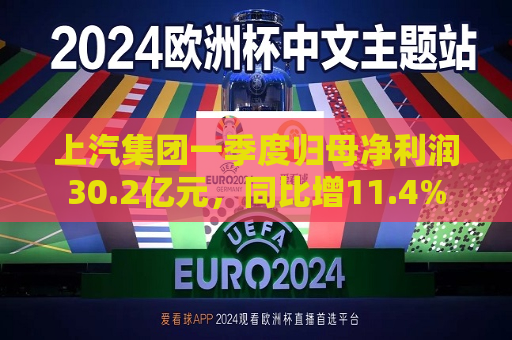 上汽集团一季度归母净利润30.2亿元，同比增11.4%  第1张