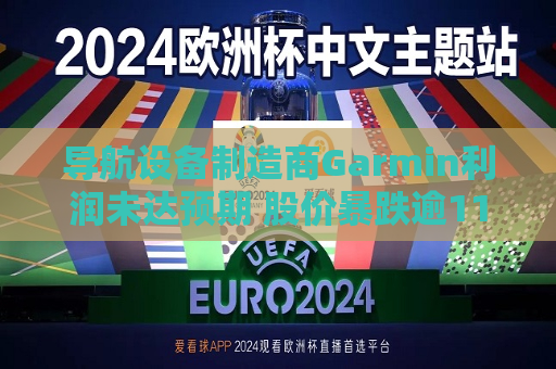 导航设备制造商Garmin利润未达预期 股价暴跌逾11.5%