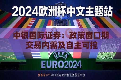 中银国际证券：政策窗口期 交易内需及自主可控