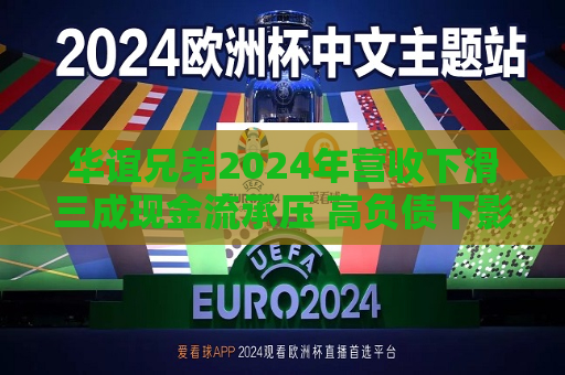 华谊兄弟2024年营收下滑三成现金流承压 高负债下影视项目待突围