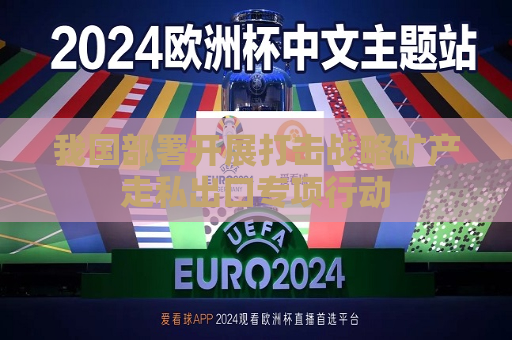 我国部署开展打击战略矿产走私出口专项行动