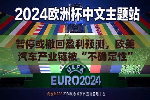 暂停或撤回盈利预测，欧美汽车产业链被“不确定性”包围  第1张