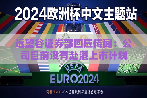 远望谷证券部回应传闻：公司目前没有赴港上市计划