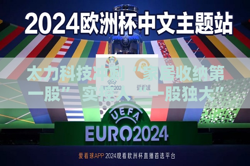 太力科技冲刺“家居收纳之一股” 实控人“一股独大”格局下频现内控问题