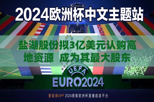 盐湖股份拟3亿美元认购高地资源  成为其更大股东