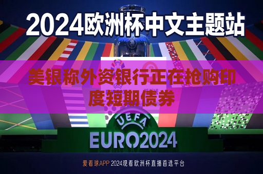 美银称外资银行正在抢购印度短期债券