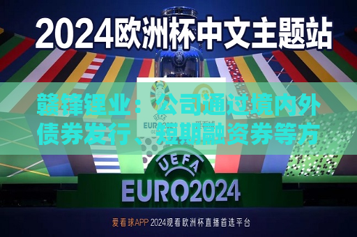赣锋锂业：公司通过境内外债券发行、短期融资券等方式补充资金流动性