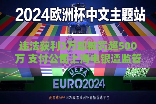 违法获利3万却被罚超500万 支付公司上海电银遭监管重罚