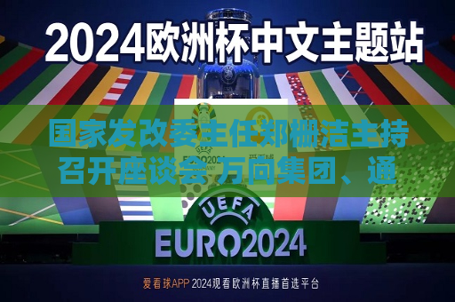 国家发改委主任郑栅洁主持召开座谈会 万向集团、通富微电等5家民企参加