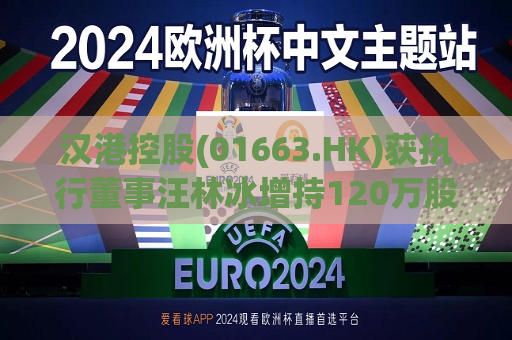 汉港控股(01663.HK)获执行董事汪林冰增持120万股  第1张