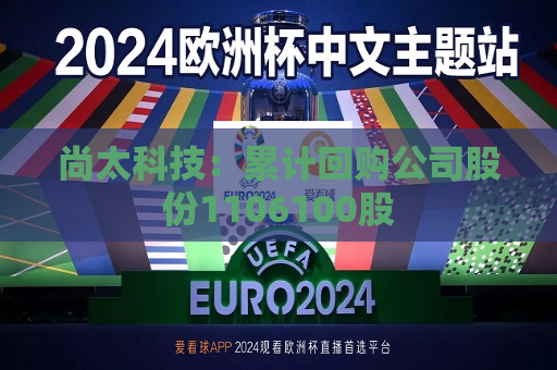 尚太科技：累计回购公司股份1106100股