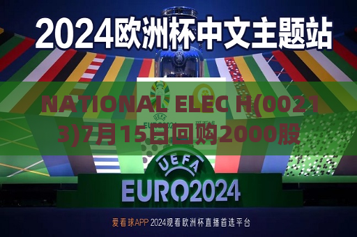NATIONAL ELEC H(00213)7月15日回购2000股  第1张