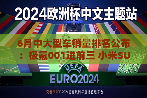 6月中大型车销量排名公布：极氪001进前三 小米SU7第四  第1张