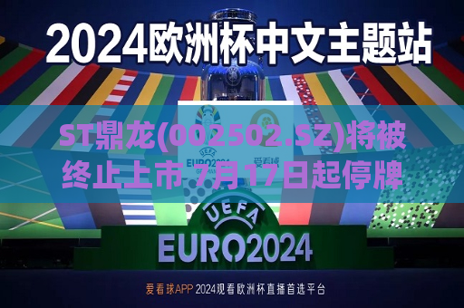 ST鼎龙(002502.SZ)将被终止上市 7月17日起停牌
