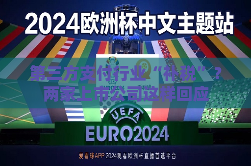 第三方支付行业“补税”？两家上市公司这样回应
