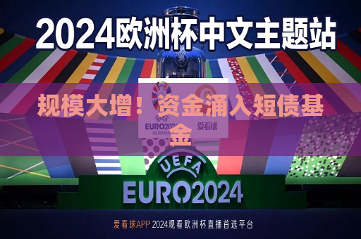 规模大增！资金涌入短债基金  第1张