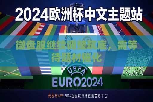 微盘股继续调整筑底，需等待题材催化
