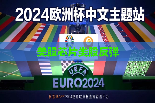 美股芯片类股反弹  第1张