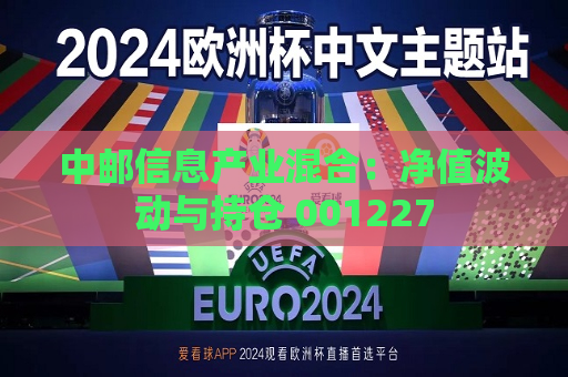 中邮信息产业混合：净值波动与持仓 001227