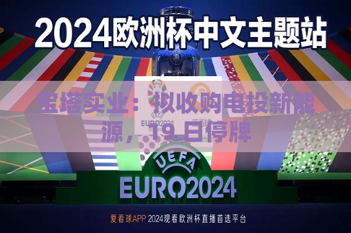 宝塔实业：拟收购电投新能源，19 日停牌