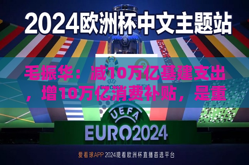 毛振华：减10万亿基建支出，增10万亿消费补贴，是重启中国经济复苏的关健