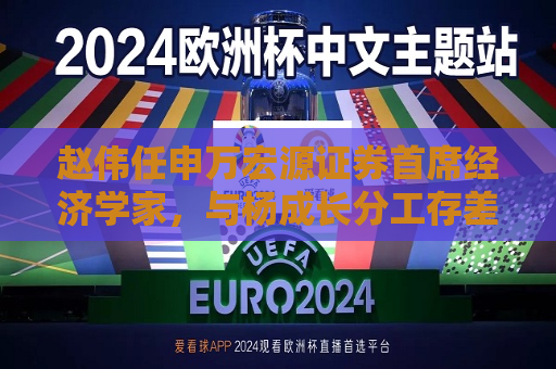 赵伟任申万宏源证券首席经济学家，与杨成长分工存差异  第1张