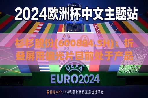 杉杉股份(600884.SH)：折叠屏用偏光片目前处于产品开发与认证阶段  第1张