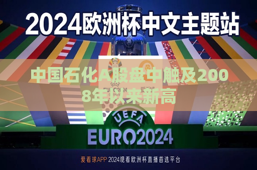 中国石化A股盘中触及2008年以来新高
