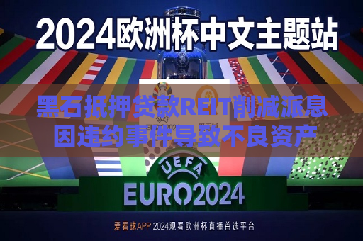 黑石抵押贷款REIT削减派息 因违约事件导致不良资产增多  第1张