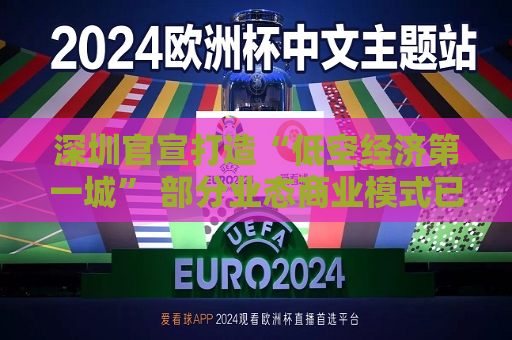 深圳官宣打造“低空经济之一城” 部分业态商业模式已渐成熟