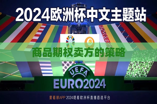 商品期权卖方的策略  第1张