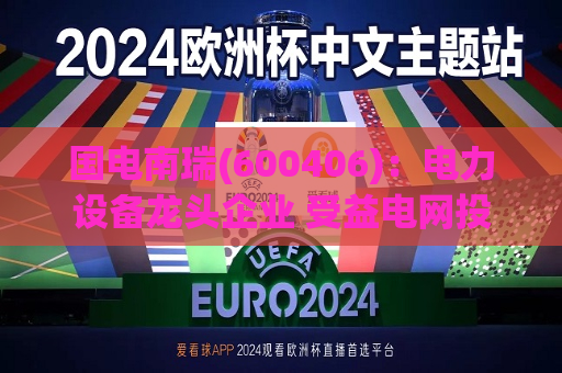 国电南瑞(600406):电力设备龙头企业 受益电网投资加速增长 第1张 国电南瑞(600406):电力设备龙头企业 受益电网投资加速增长 第1张