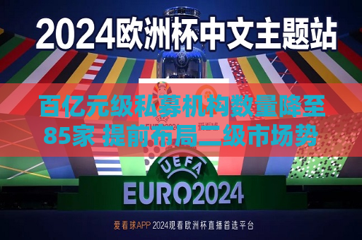 百亿元级私募机构数量降至85家 提前布局二级市场势头未改  第1张