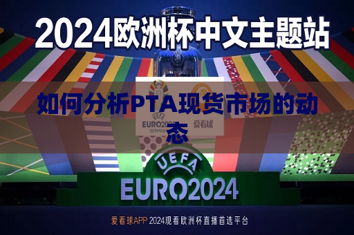如何分析PTA现货市场的动态