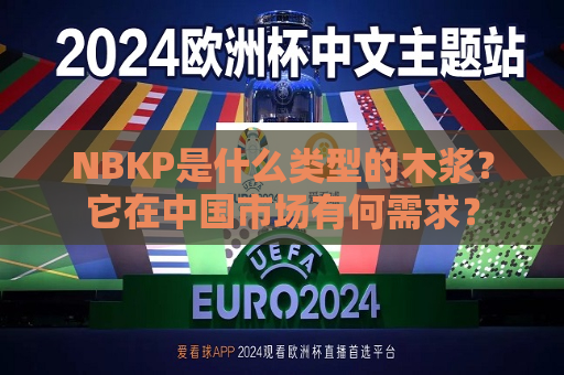 NBKP是什么类型的木浆？它在中国市场有何需求？