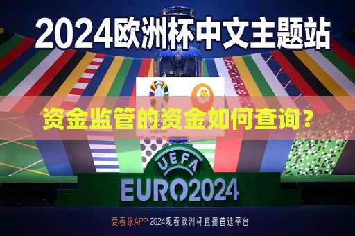 资金监管的资金如何查询？