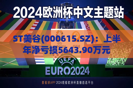 ST美谷(000615.SZ)：上半年净亏损5643.90万元