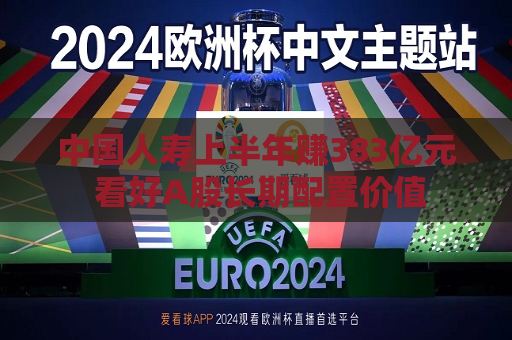 中国人寿上半年赚383亿元 看好A股长期配置价值  第1张